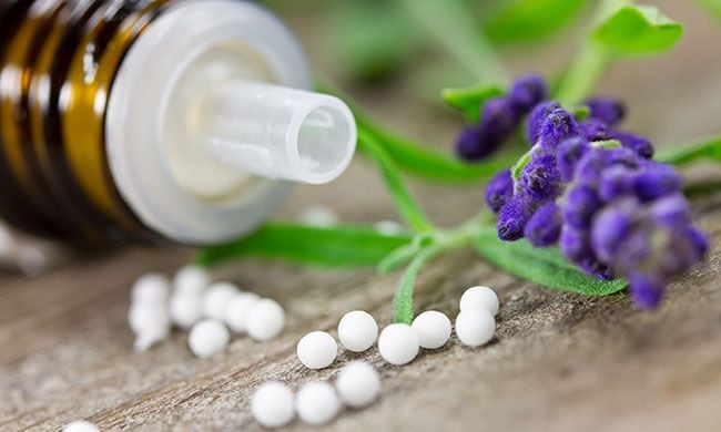 Planta de lavanda con bote de grajeas