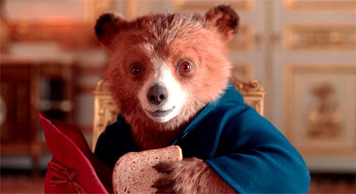 El oso Paddington