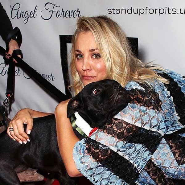 kaley cuoco hijos 4 patas perros02