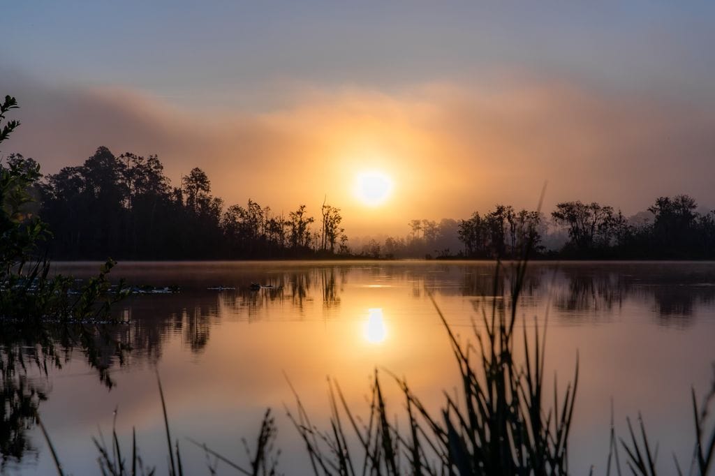 El reflejo del atardecer en un lago en el Bosque Nacional de Ocala