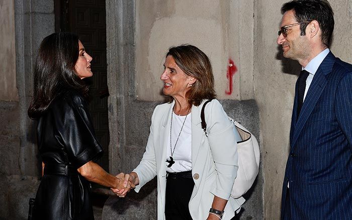 Imagen de la reina Letizia en un acto a favor del medioambiente