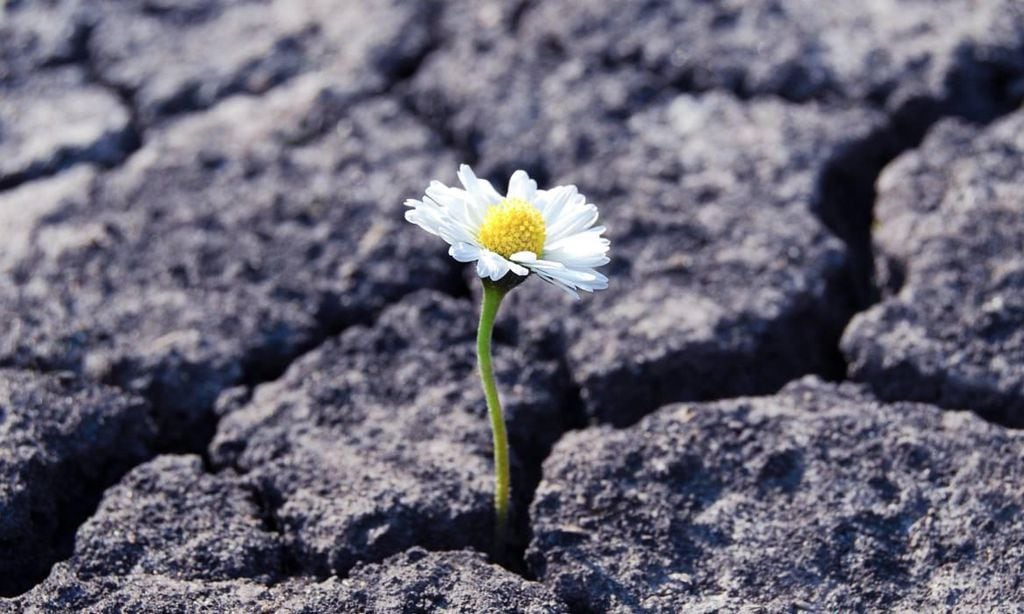 Cómo potenciar la resiliencia de nuestros hijos