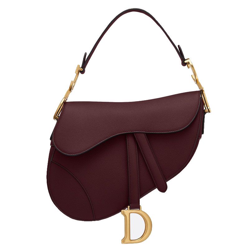 dior saddle