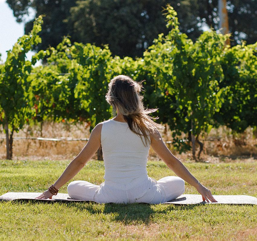 esperiencia yoga entre vinedosabadia retuerta