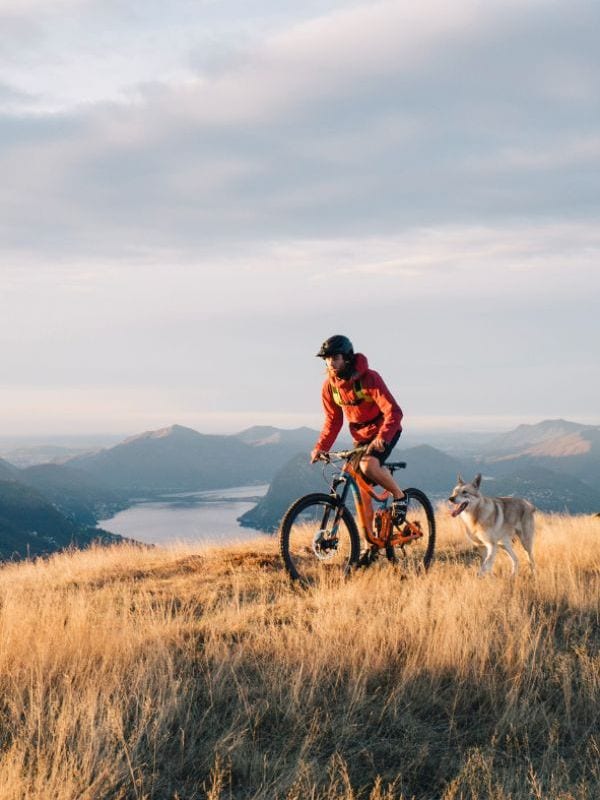 Bicicletas de montaña