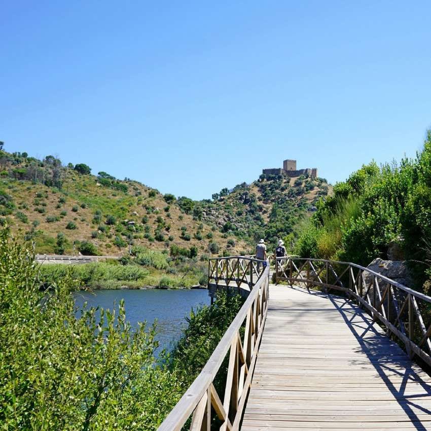 pasarelas de madera en alamal portalegre portugal