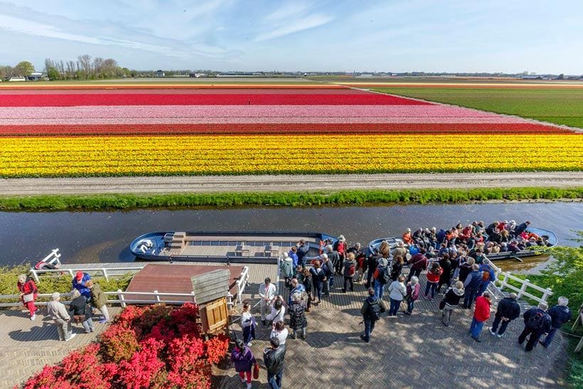 Keukenhof-holanda-jardines-5