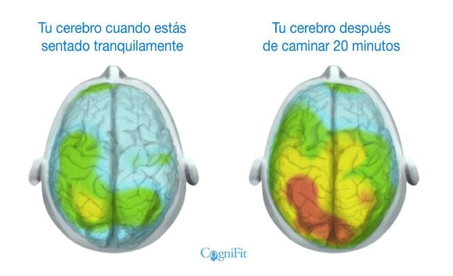 deporte cerebro 