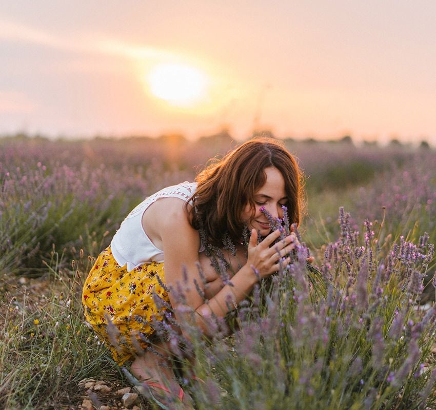 lavanda 2gettyimages 1039600994