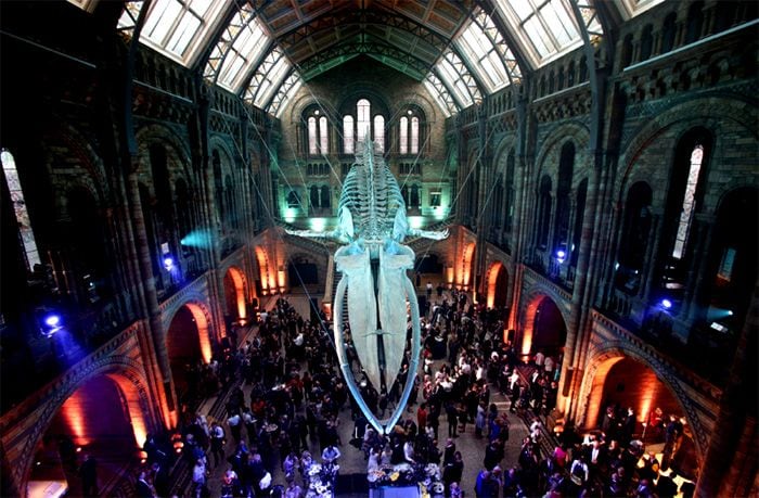 Museo de Historia Natural de Londres