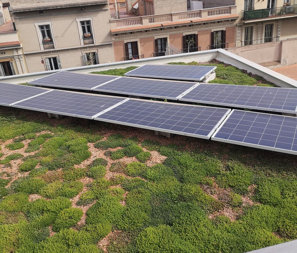 Escuela en Barcelona con cubierta biosolar