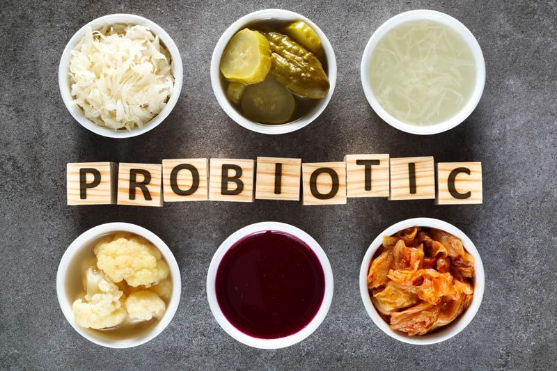 probioticos