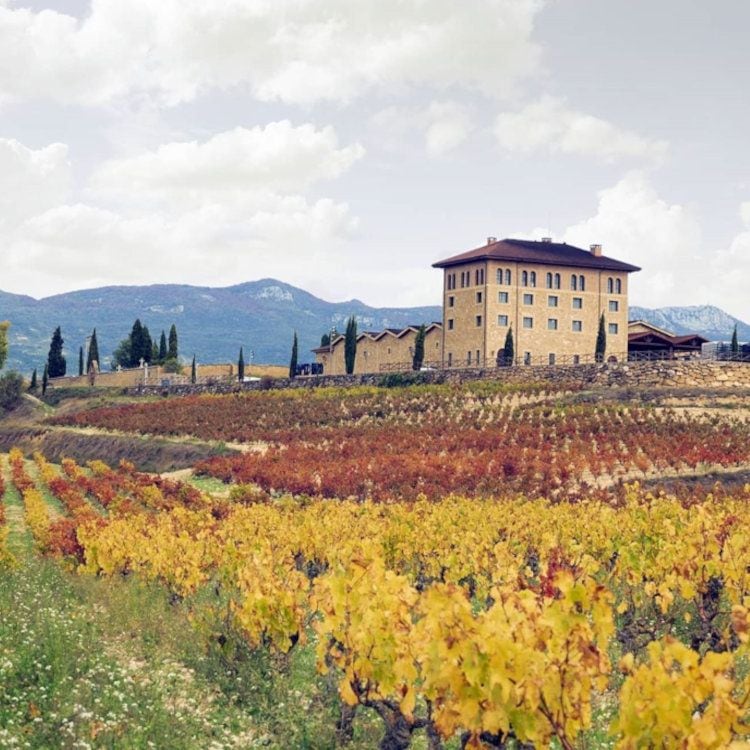 Bodega Hacienda López de Haro, la cuna de Vintae