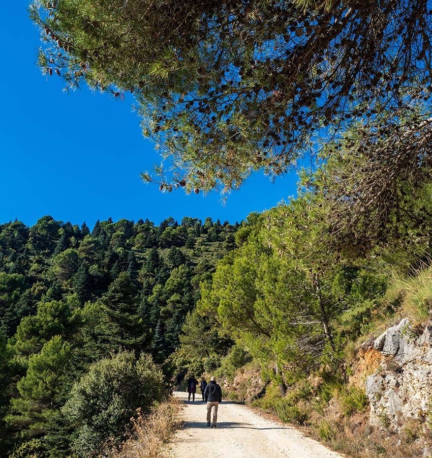 Senderismo por el Parque Nacional de Sierra de las Nieves, Málaga