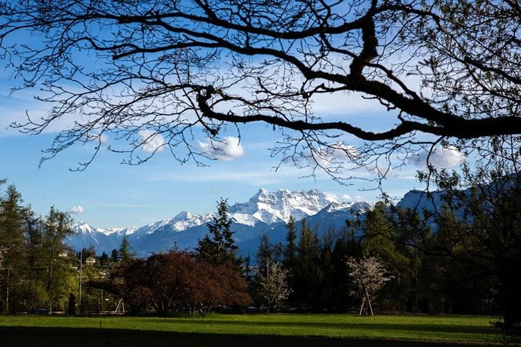 Chaplins-World-jardines-mountain