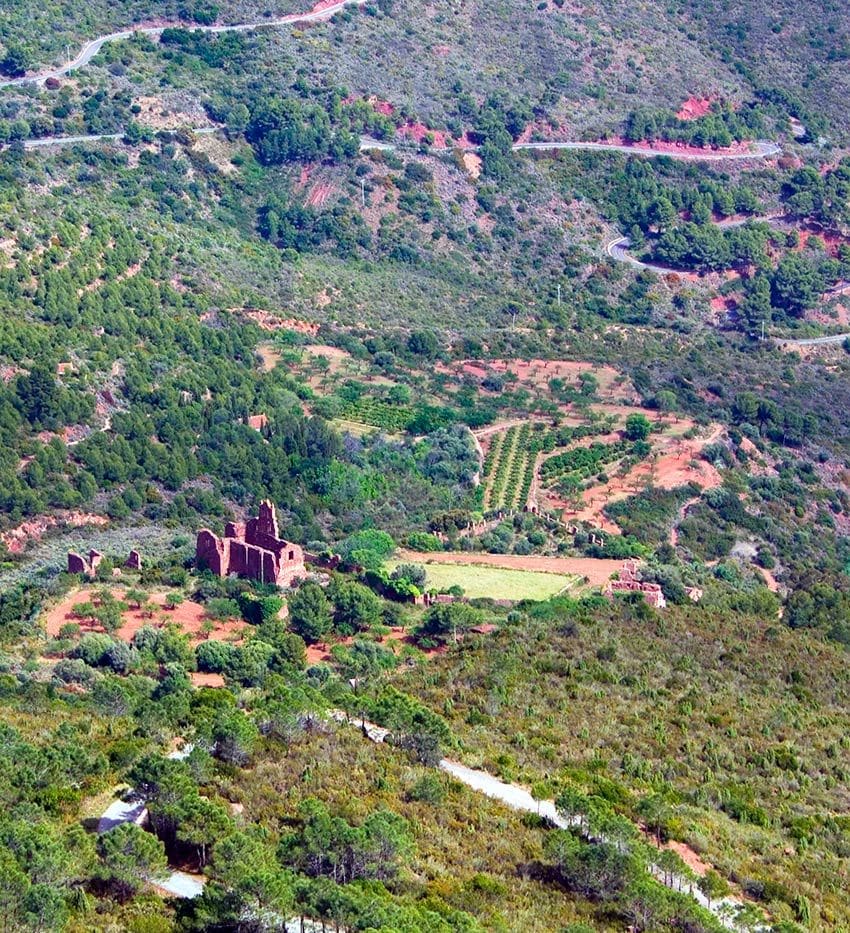 benicassim desierto palmas