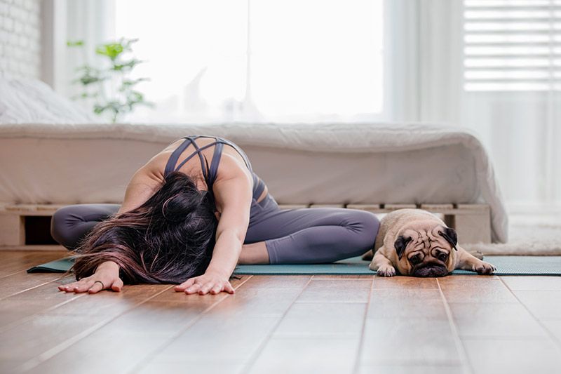 mujer haciendo yoga con perro