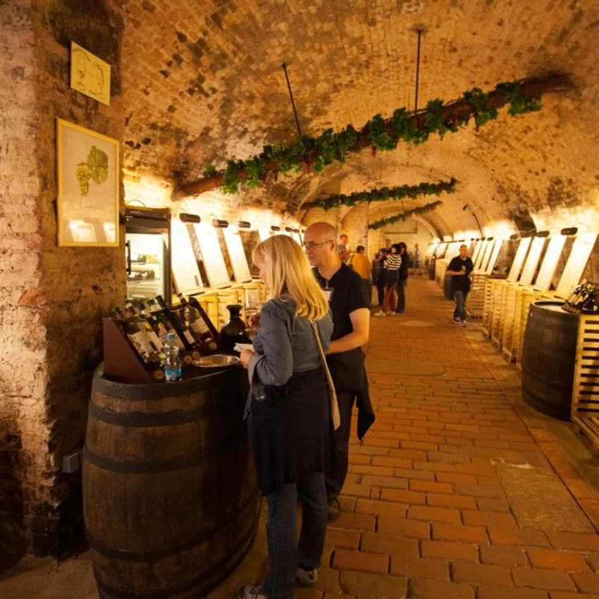 Salón de vinos en el castillo Valtice.