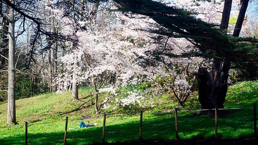 Parque Cristina Enea, Donostia