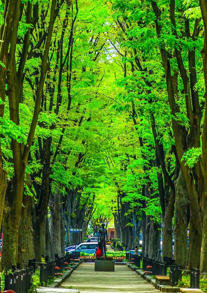 Jozenji street, Sendai