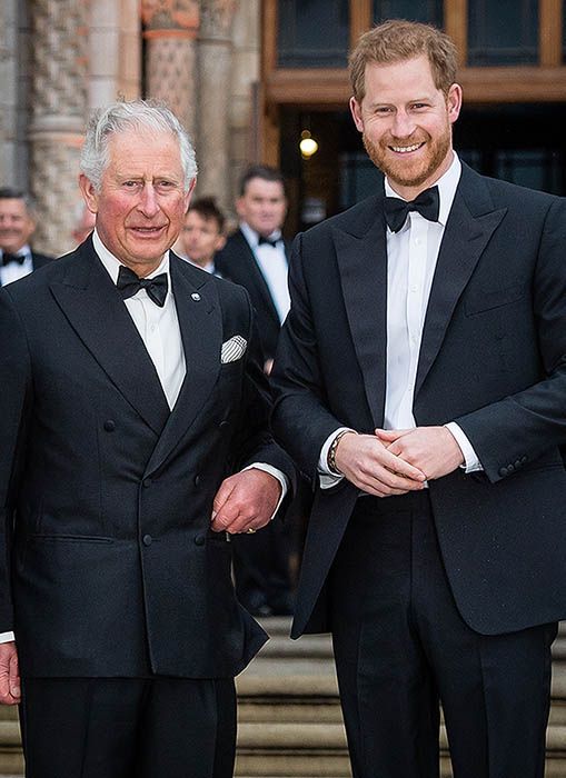 Príncipe Harry y el príncipe Carlos