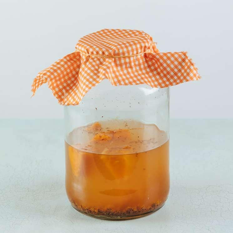 kombucha neutra scoolinary