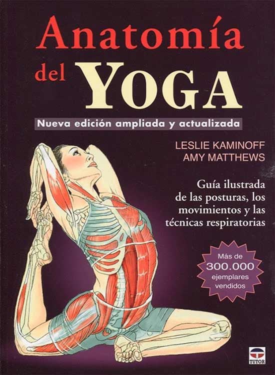 anatomia-yoga