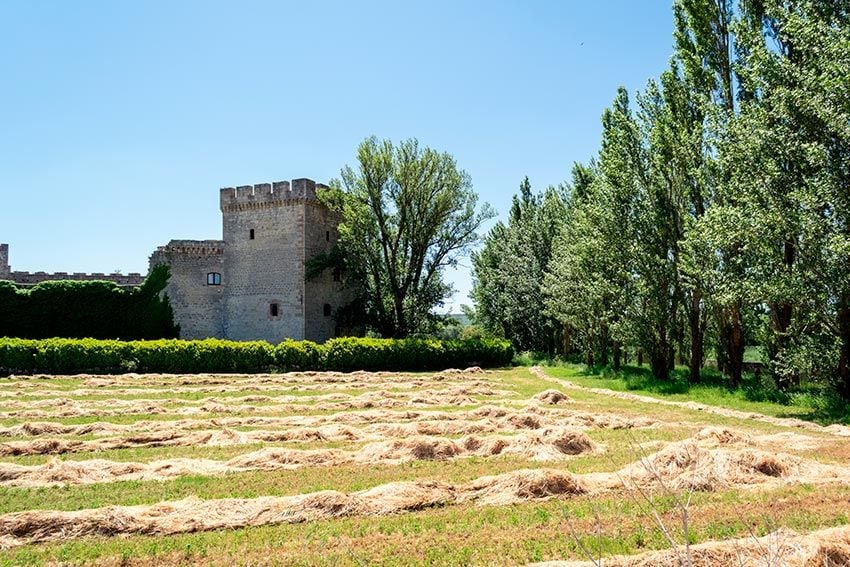 castillo-sotopalacios