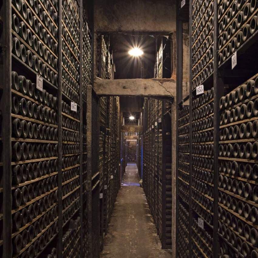 Botellería histórica de Marqués de Riscal.