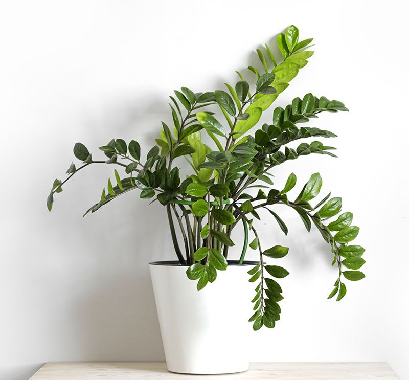 plantas cocina 7