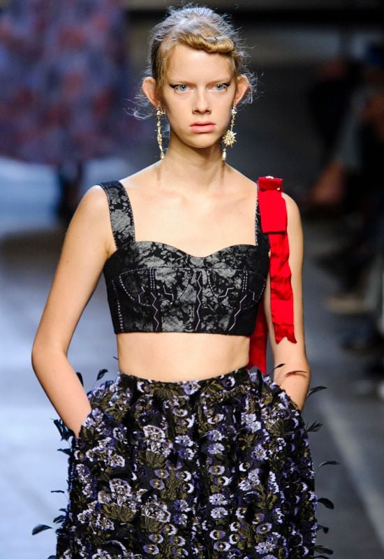 bustier Erdem