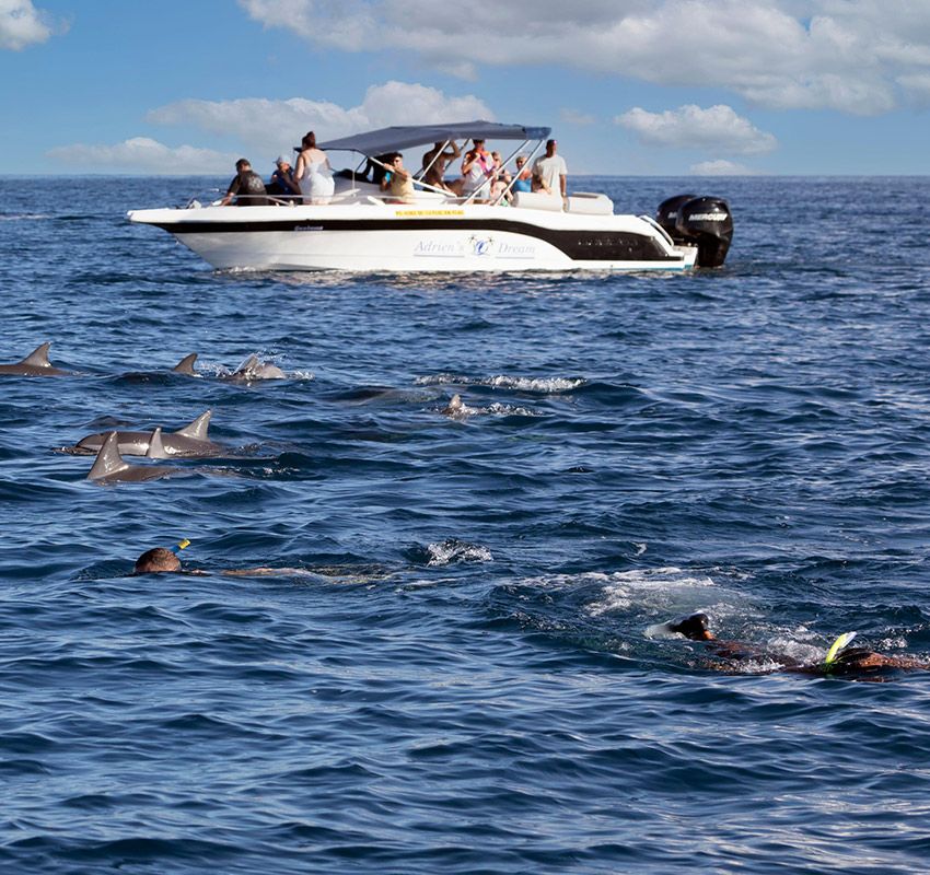 Nadando con delfines en Isla Mauricio.