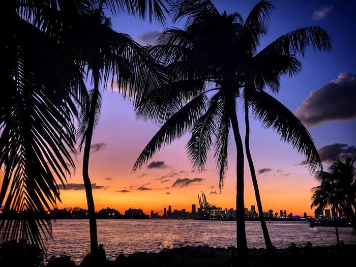 La puesta de sol en Fisher Island