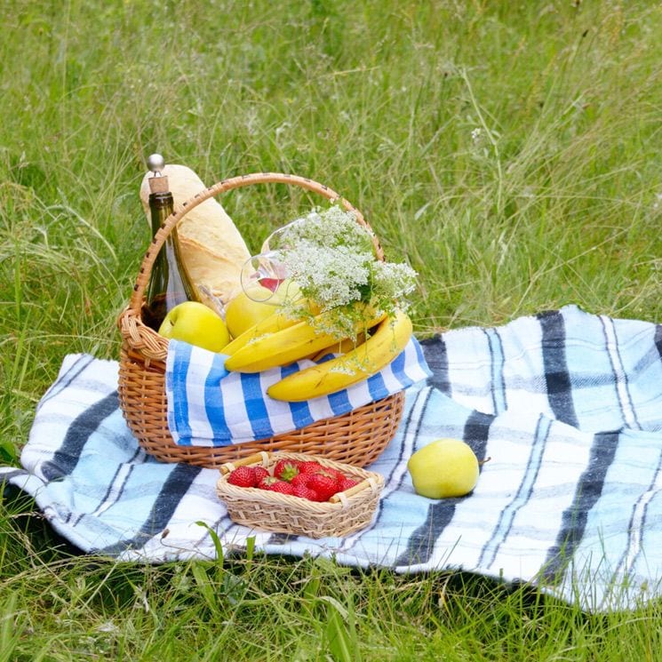 cesta picnic age