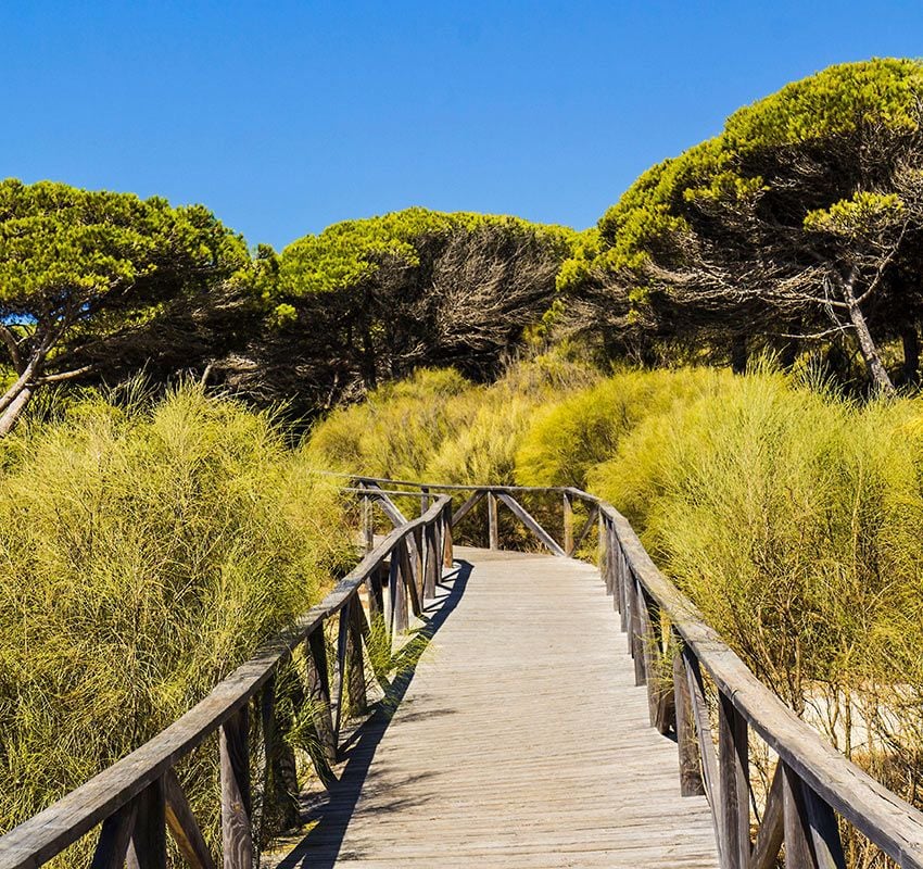 Playa de Bolonia, Cádiz