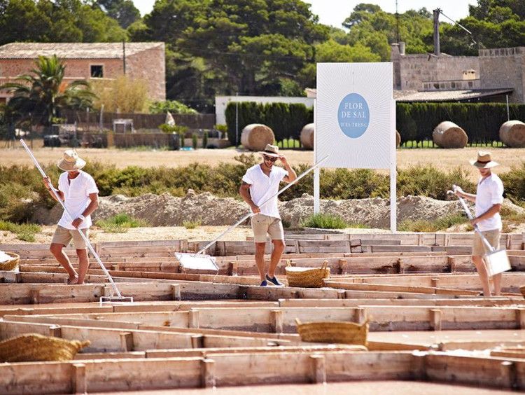 Salinas d'Es Trenc en Mallorca