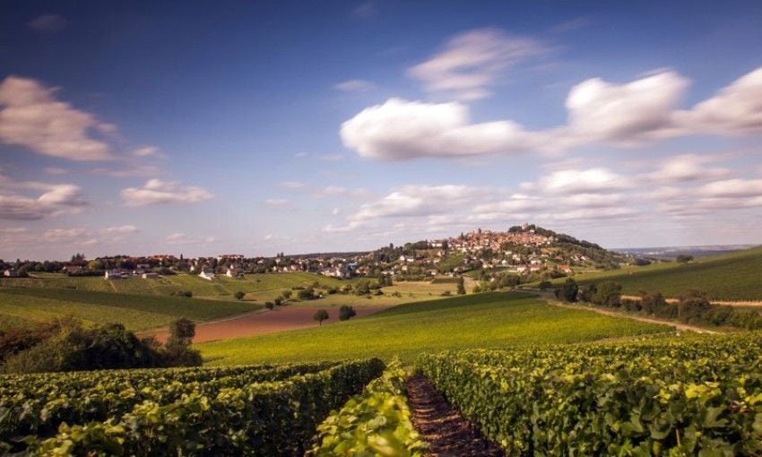 En el valle del Loira y rodeado de viñedos, así es el pueblo que este año ha sido elegido por los propios franceses como el más bonito de Francia.