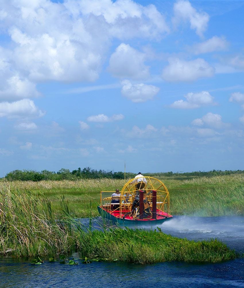 everglades estados unidos