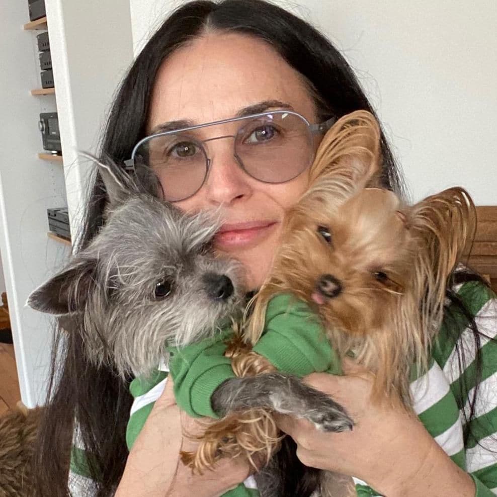 demi moore luce uno de los lentes correctivos m s trendys