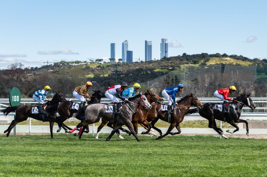 Hipódromo de la Zarzuela 