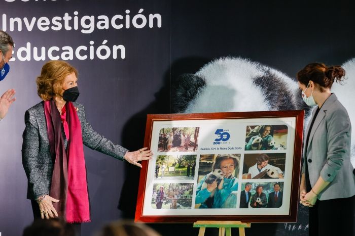 Doña Sofía no faltar a la cita con sus animales favoritos, los osos panda