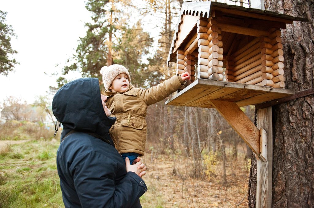 Padre e hijo en una casa de pájaros