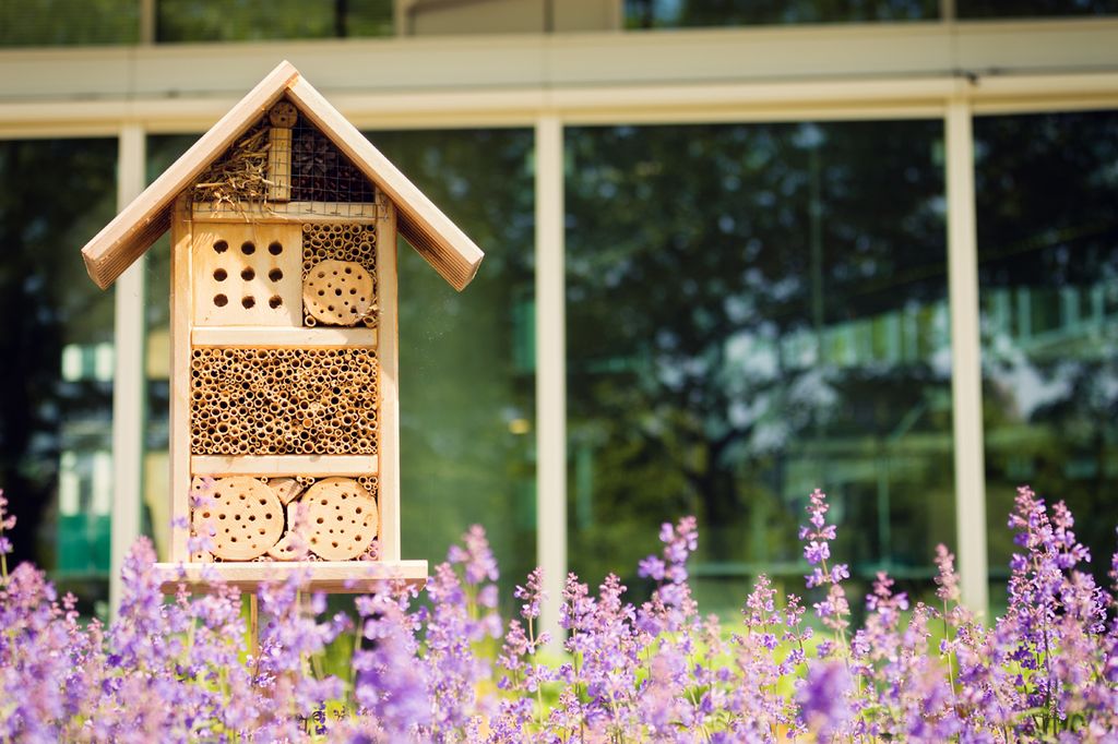 Hostal de insectos en un jardín sostenible