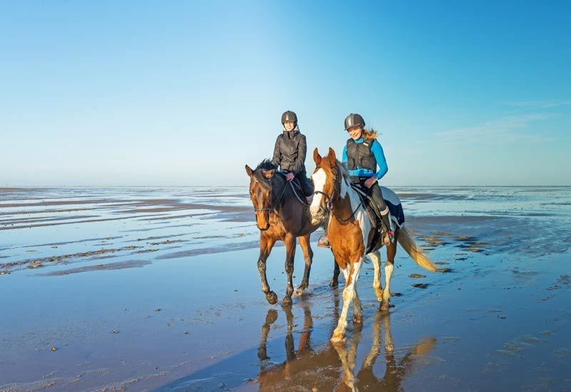 mujeres caballo