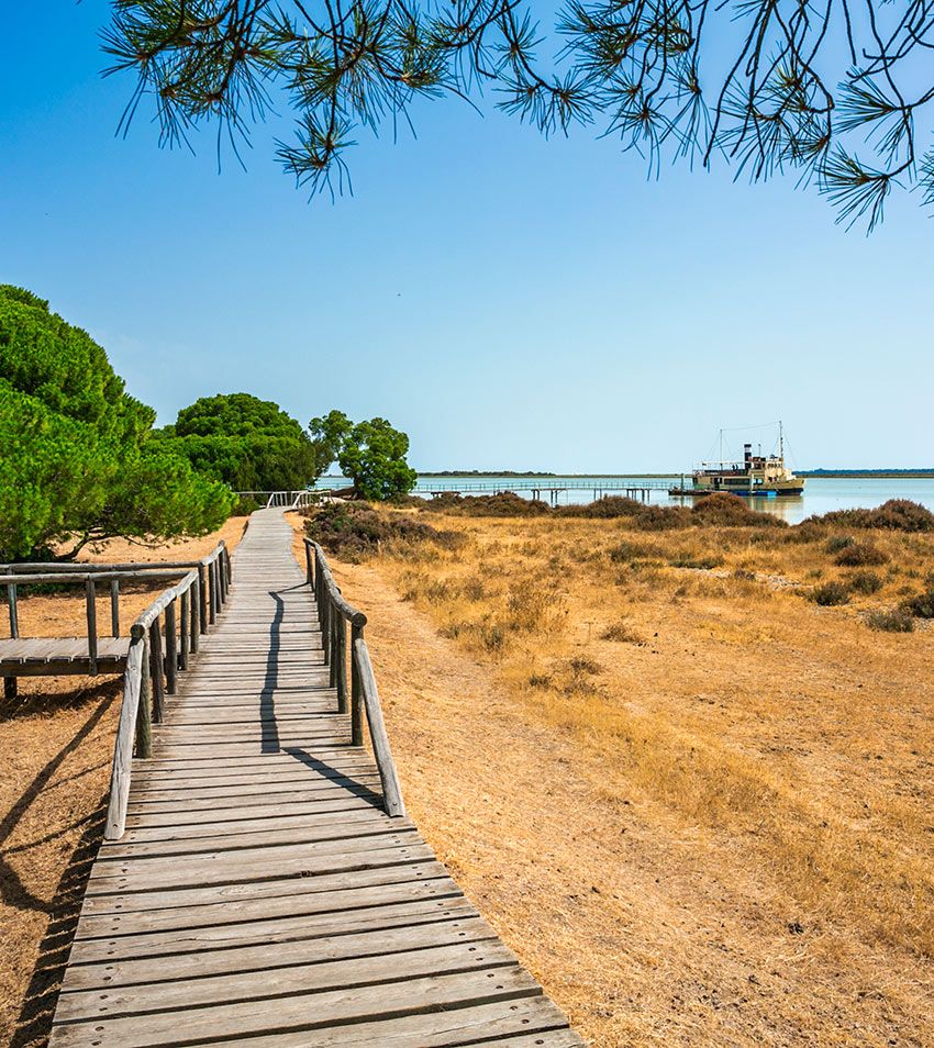 Navegar por Doñana en barco