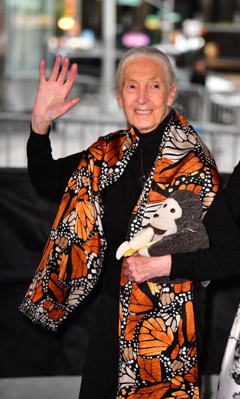 dr-jane-goodall