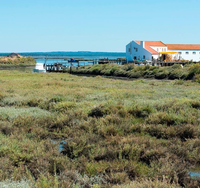 estuario sado molino 2hgn07n