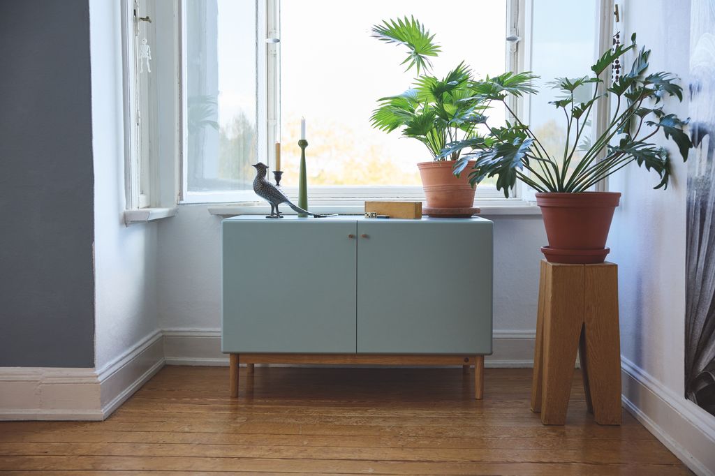 Rincón con plantas y mueble bajo la ventana