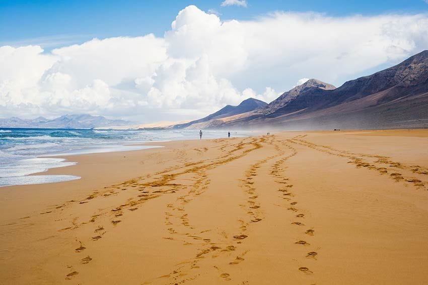 fuerteventura playas