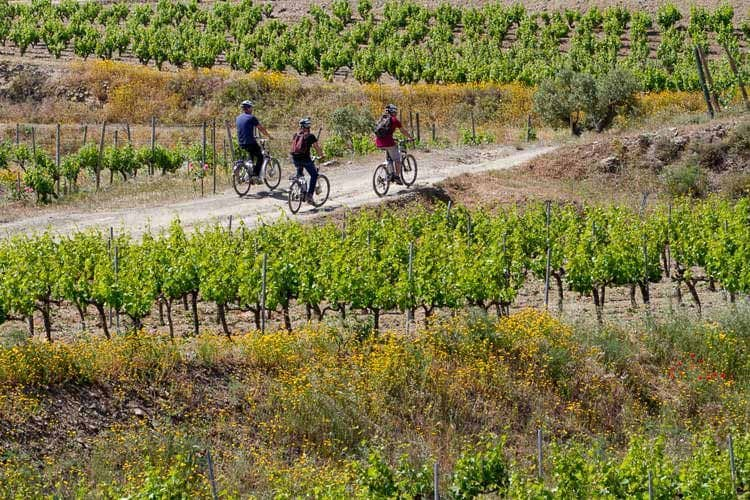 bici-priorat